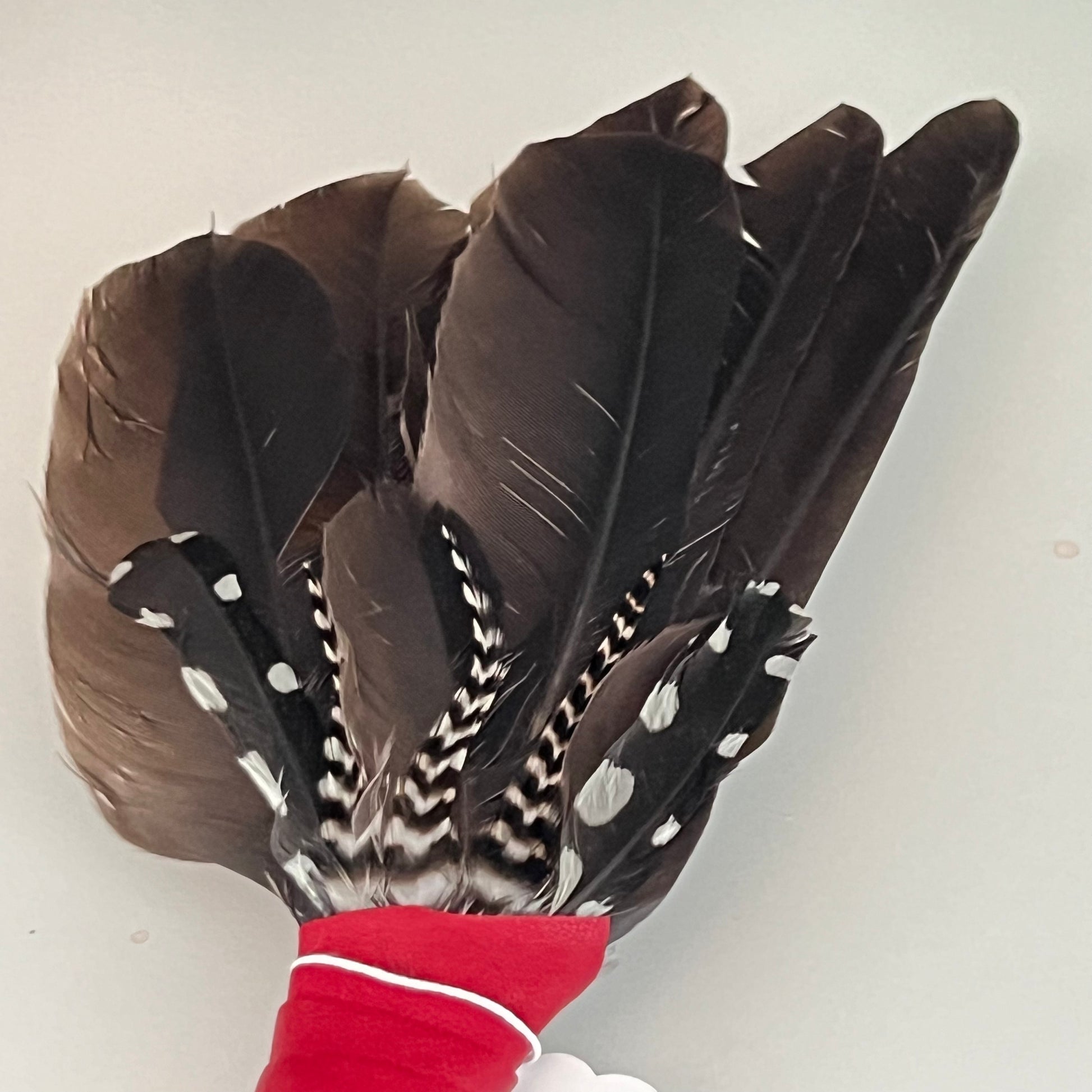 Spirit Feather Fan - Crow, Downy Woodpecker & Grizzly Rooster Feathers on Obsidian Handle