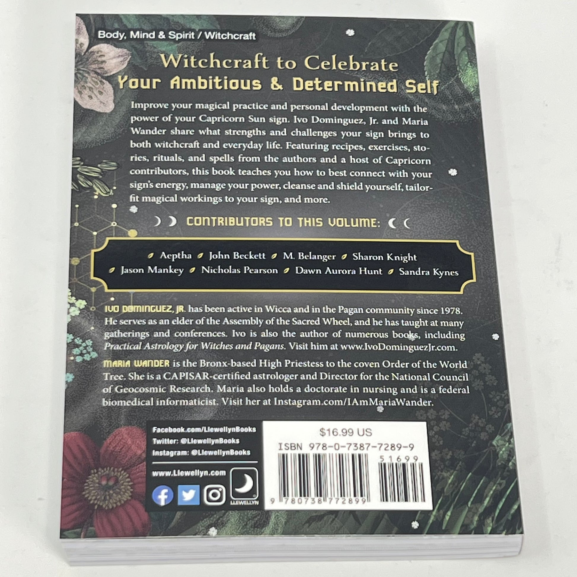 Capricorn Witch by Ivo Dominguez & Maria Wander