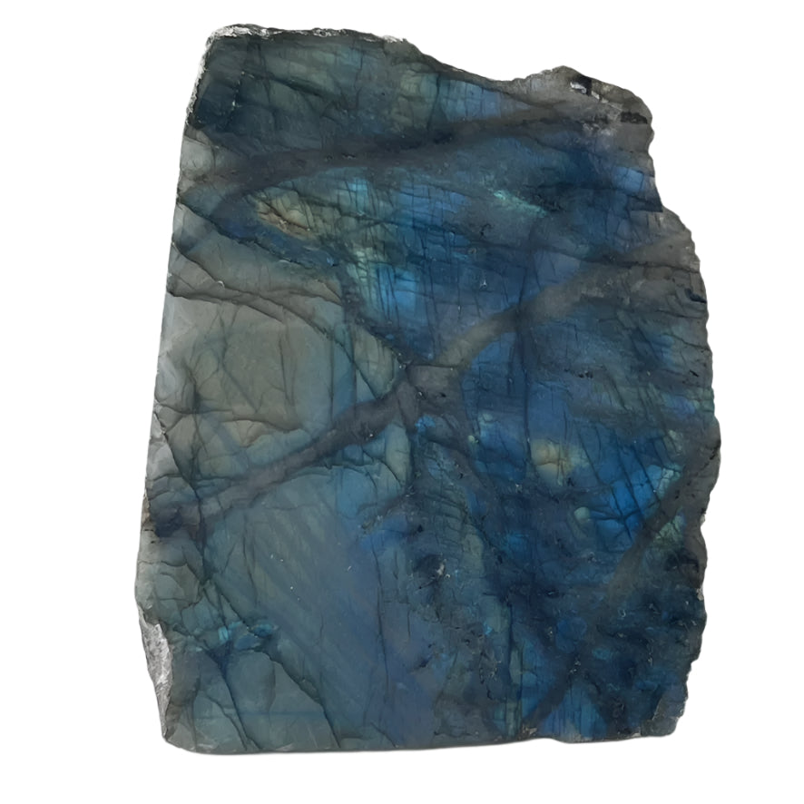 Labradorite Polished Slab Stand Up