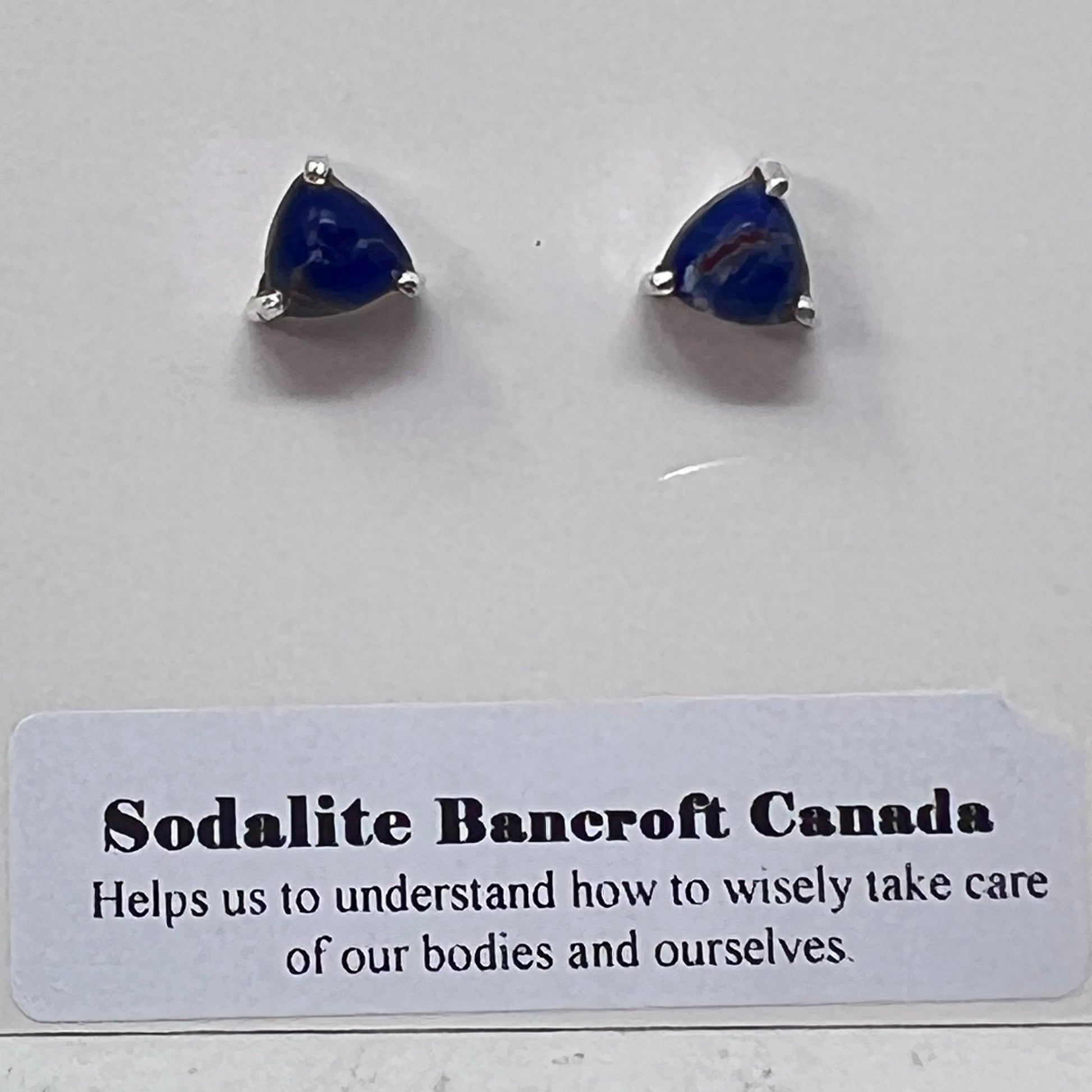 Earrings - Sodalite