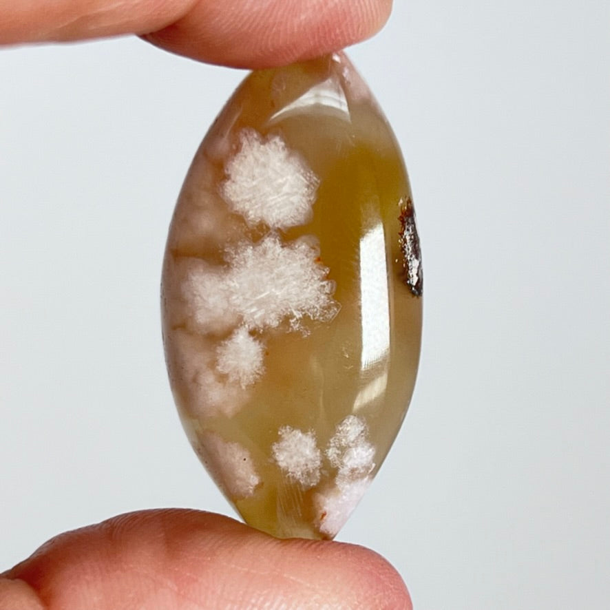 Flower Agate - Shapes