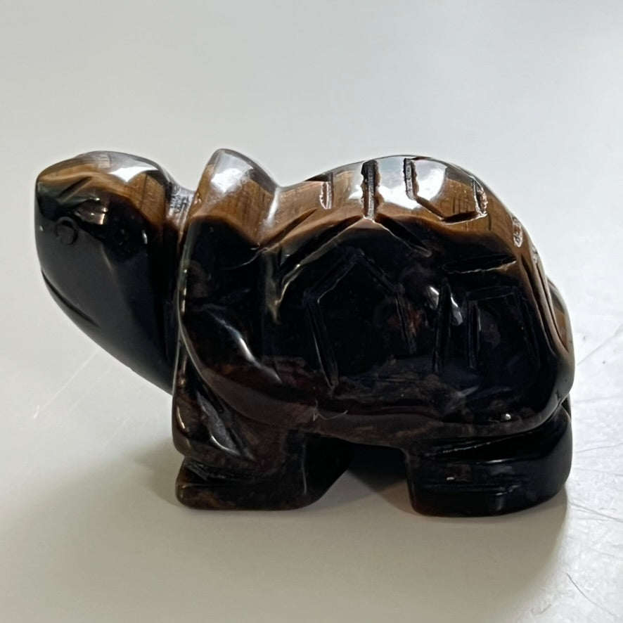Tiger Eye Turtle