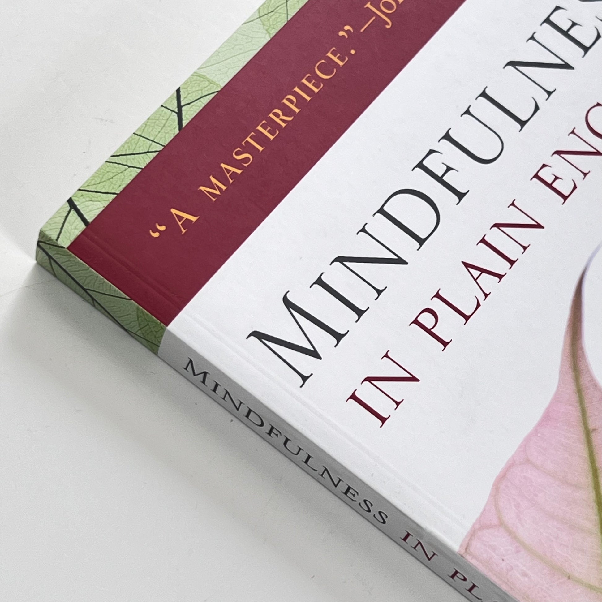 Mindfulness in Plain English by Bhante Gunaratana