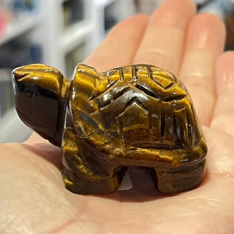 Tiger Eye Turtle