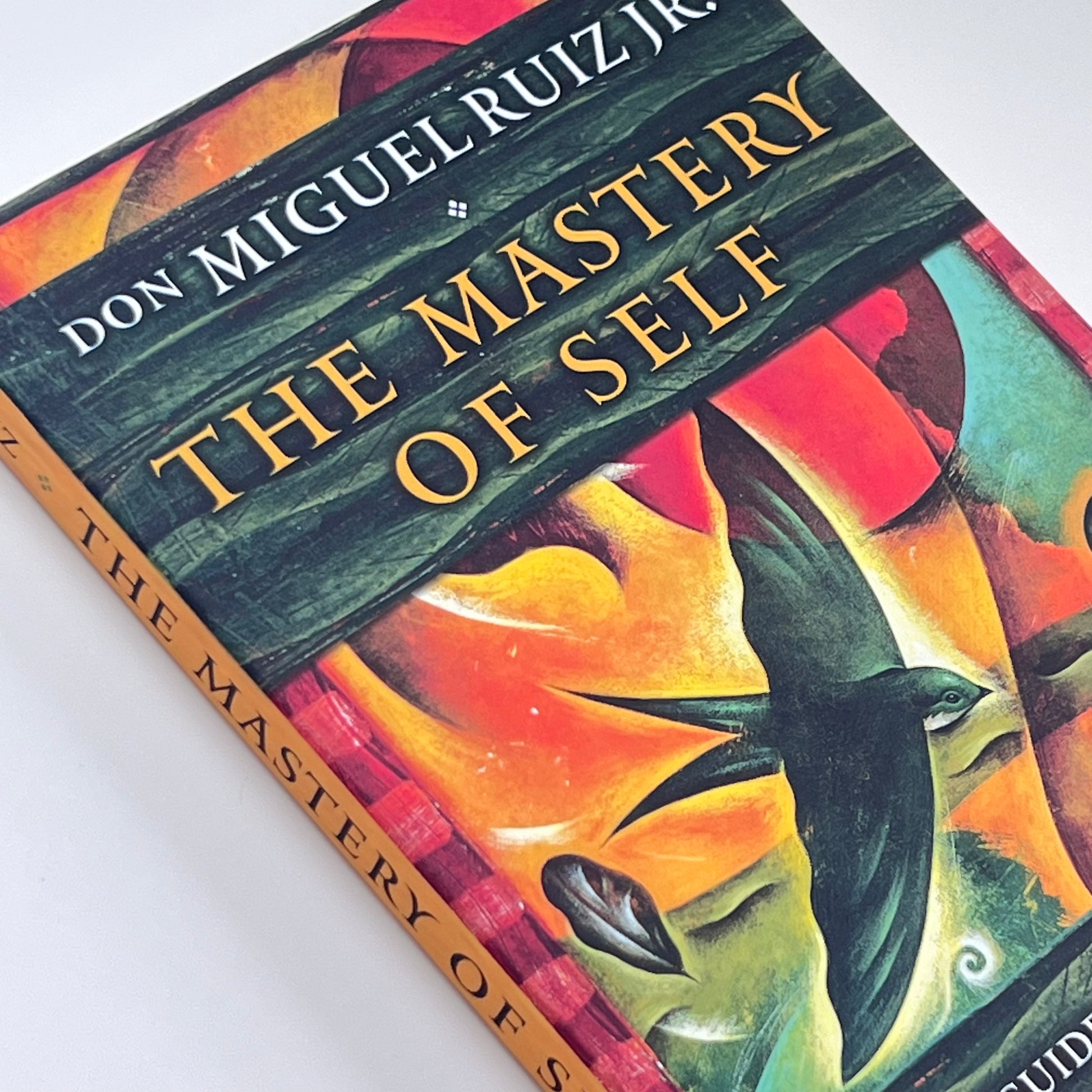 The Mastery of Self by Don Miguel Ruiz Jr