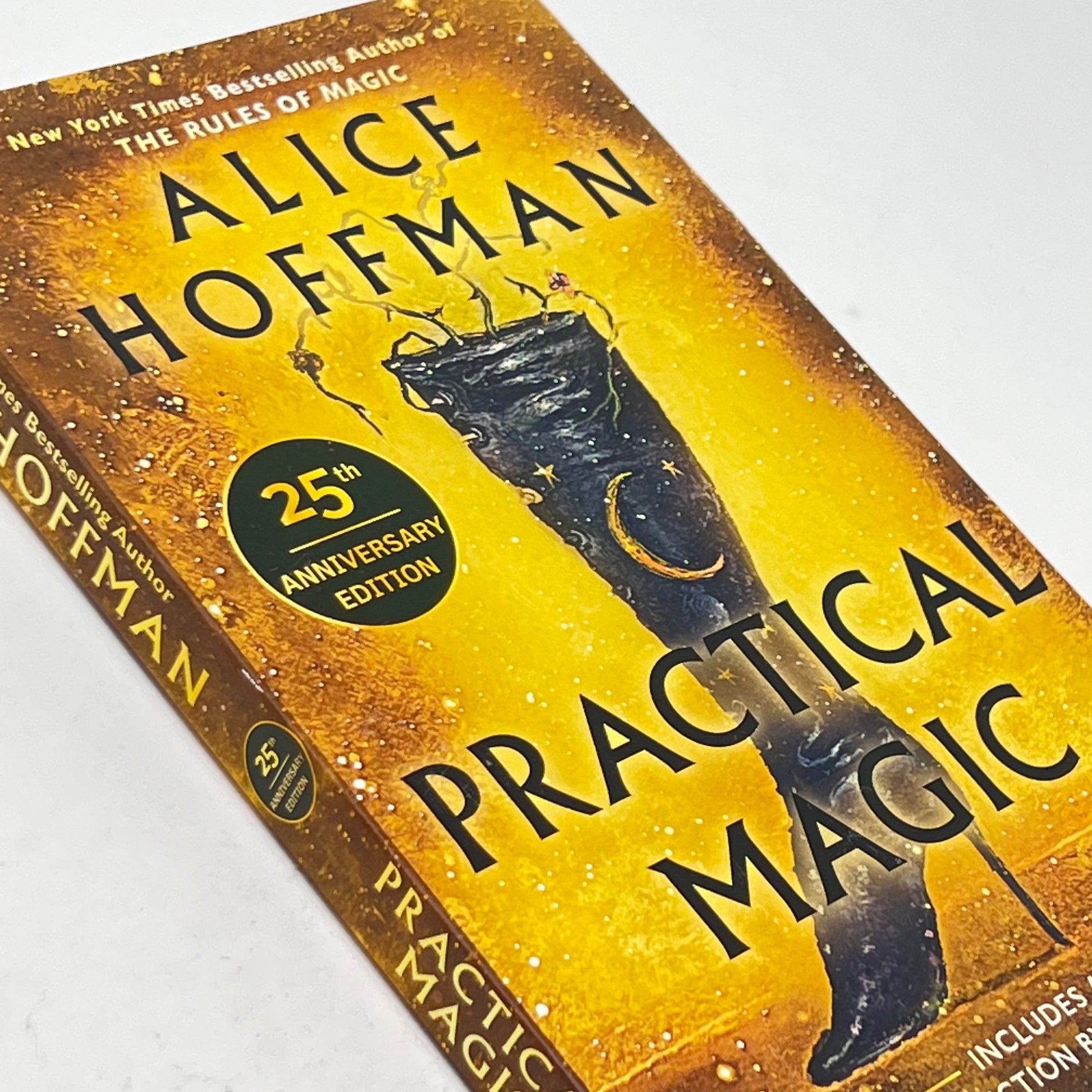 Practical Magic by Alice Hoffman