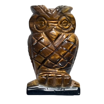 Tigers Eye Owl