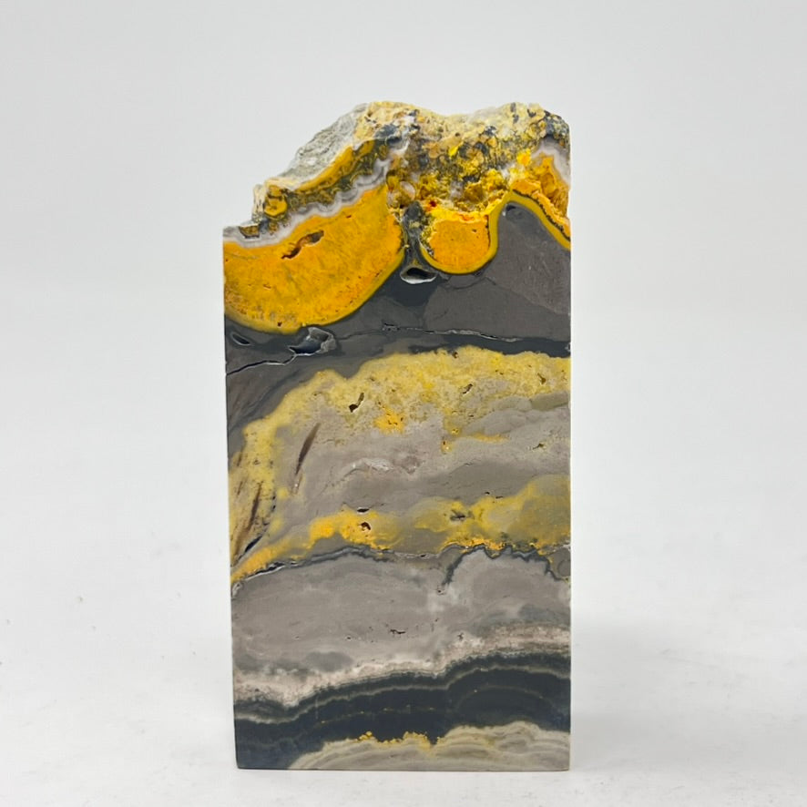 TLC Bumblebee Jasper Slice