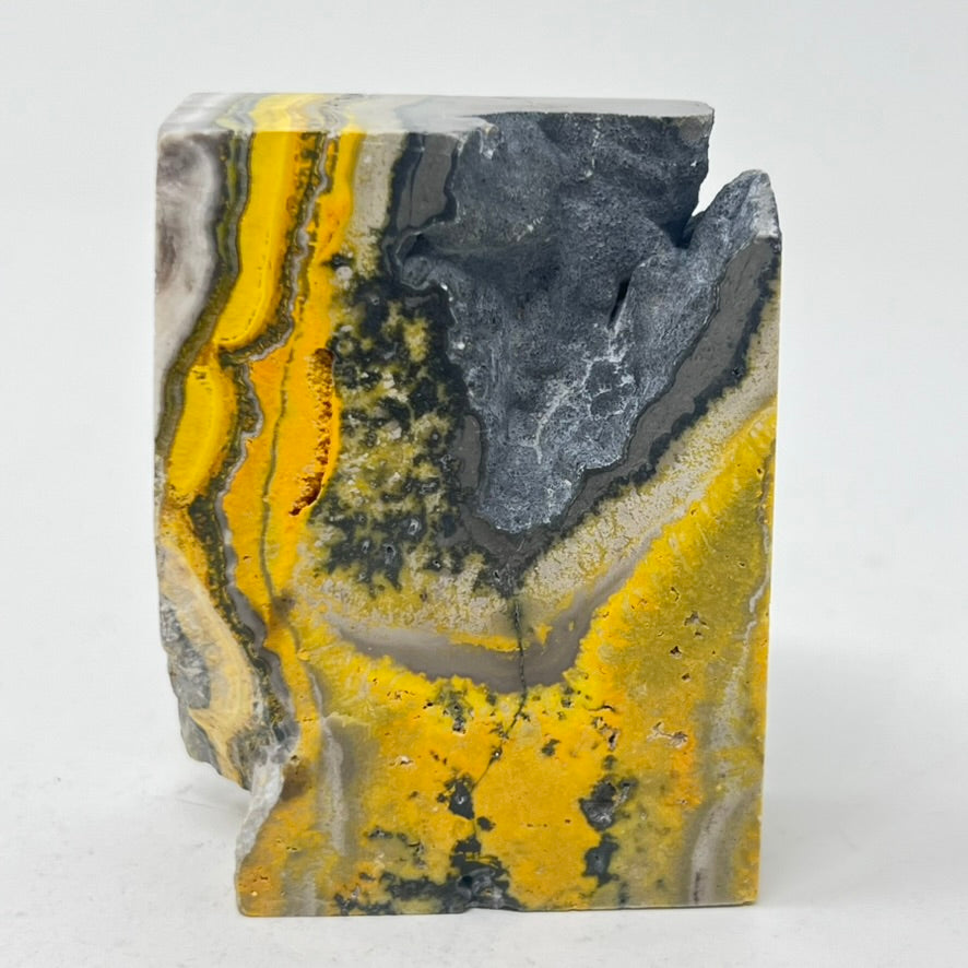 TLC Bumblebee Jasper Slice