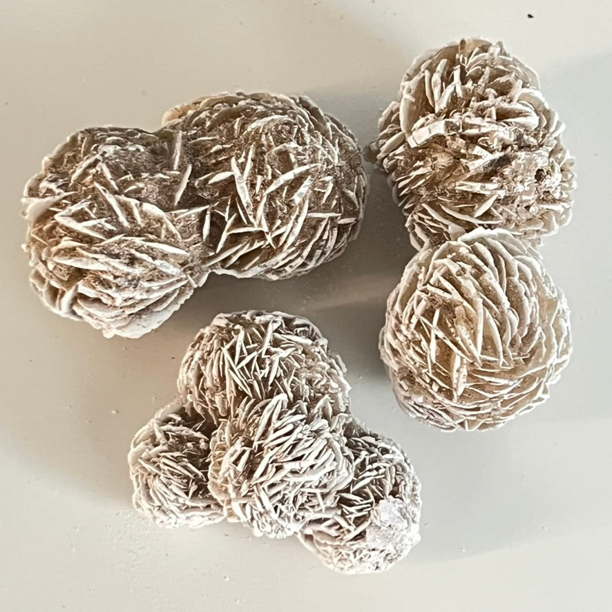 Desert Rose (Multiple Cluster)
