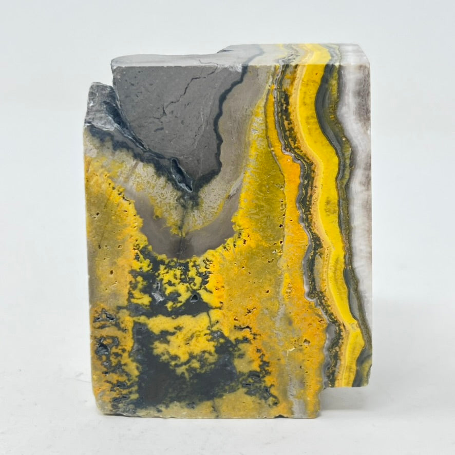 TLC Bumblebee Jasper Slice