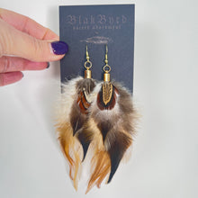 Load image into Gallery viewer, Feather Earrings by BlakByrd - Pheasant &amp; Rooster
