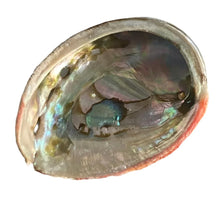 Load image into Gallery viewer, Abalone Shell  (Red) - Small - $11
