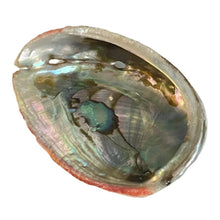 Load image into Gallery viewer, Abalone Shell  (Red) - Small - $11
