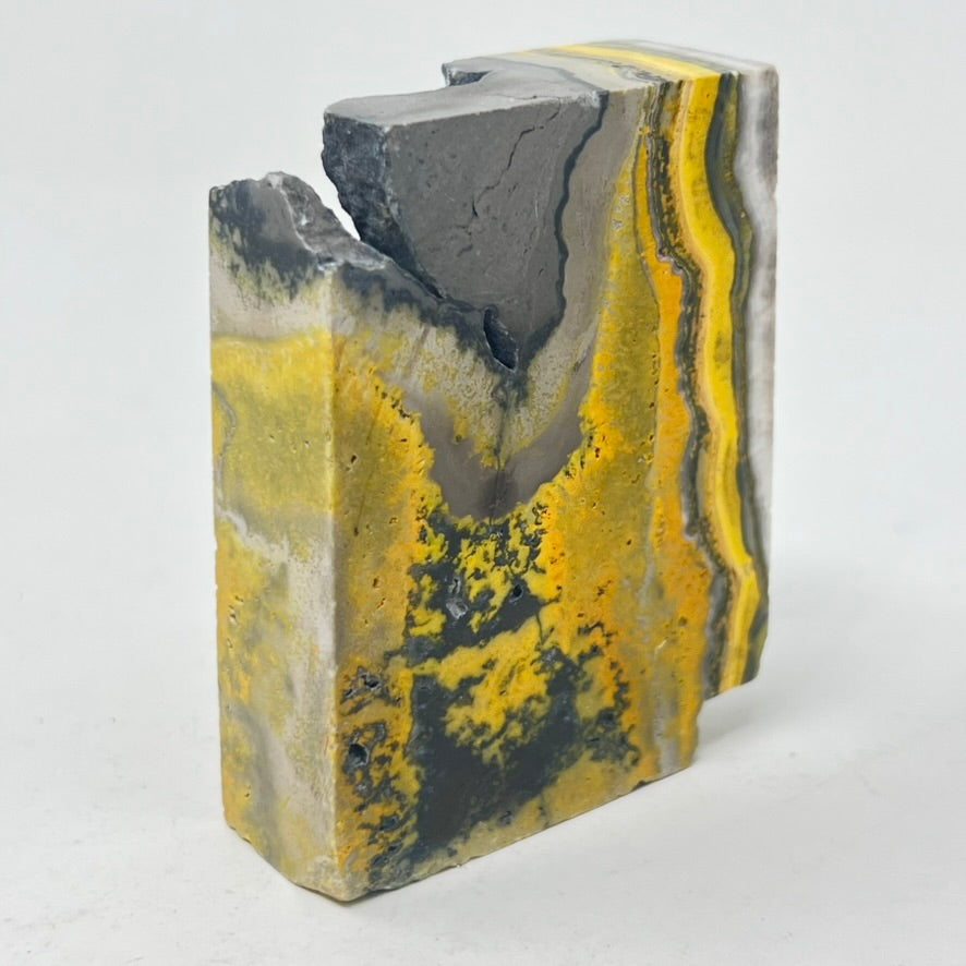 TLC Bumblebee Jasper Slice