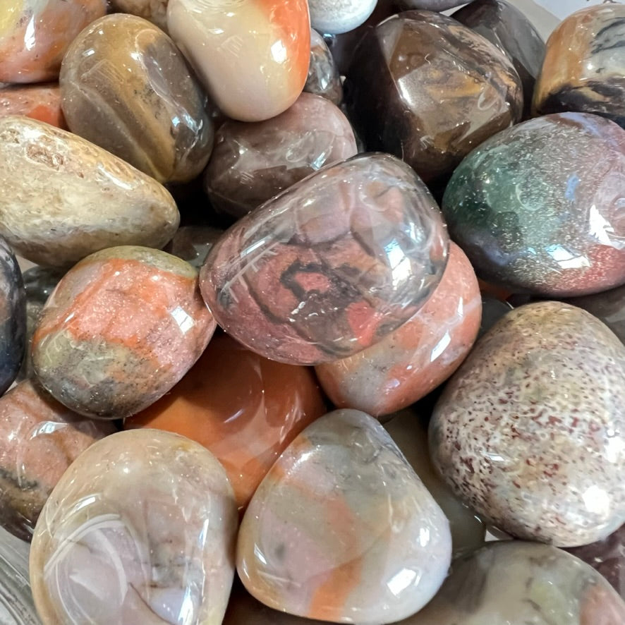 Bamboo Leaf Agate - Tumbled