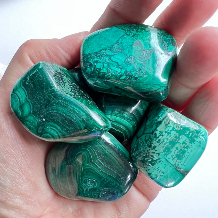 Malachite (Large) - Tumbled