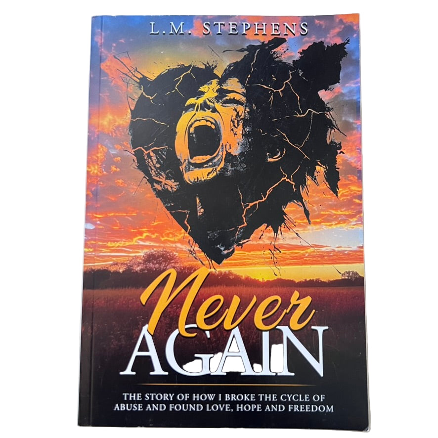 Never Again by LM Stephens