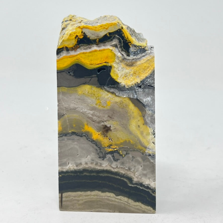 TLC Bumblebee Jasper Slice