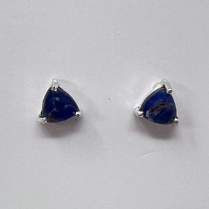 Earrings - Sodalite