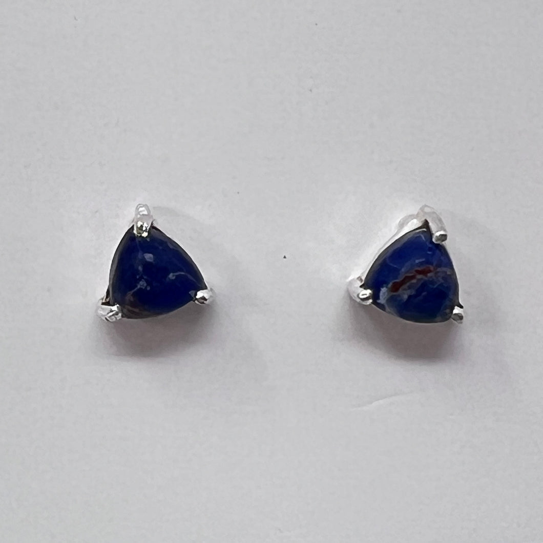 Earrings - Sodalite