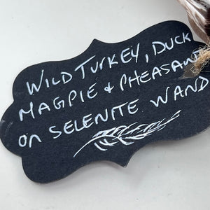 Spirit Feather Fan - Wild Turkey, Duck, Magpie & Pheasant on Selenite Wand