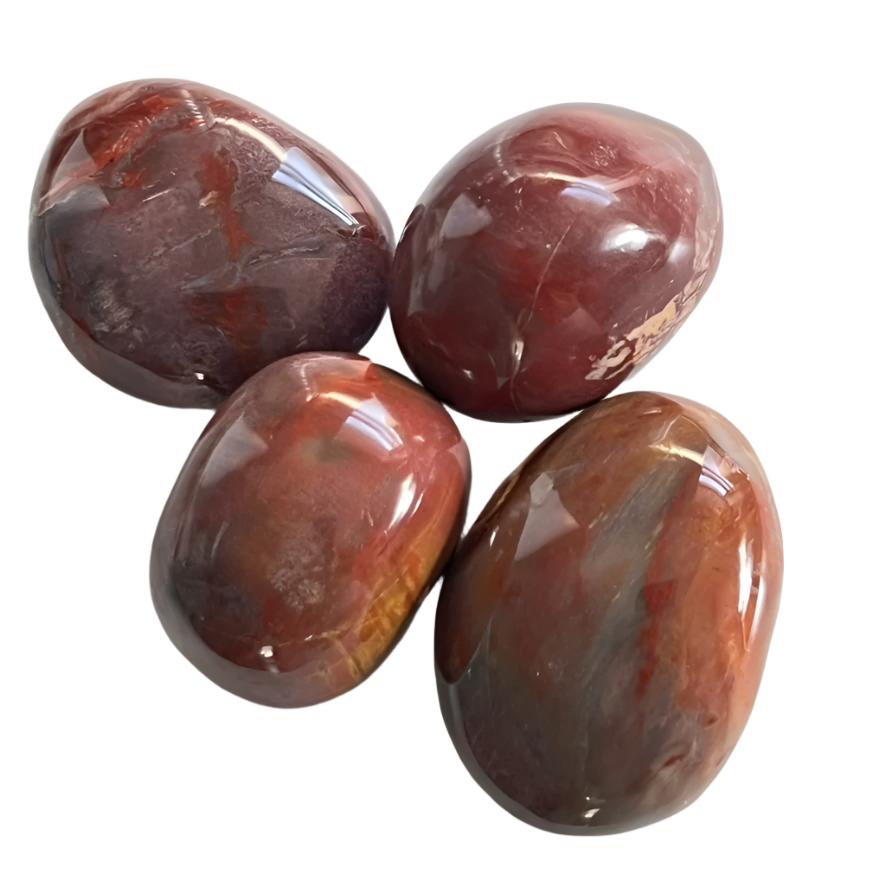 Petrified Wood - Large Tumbled Palm Stone
