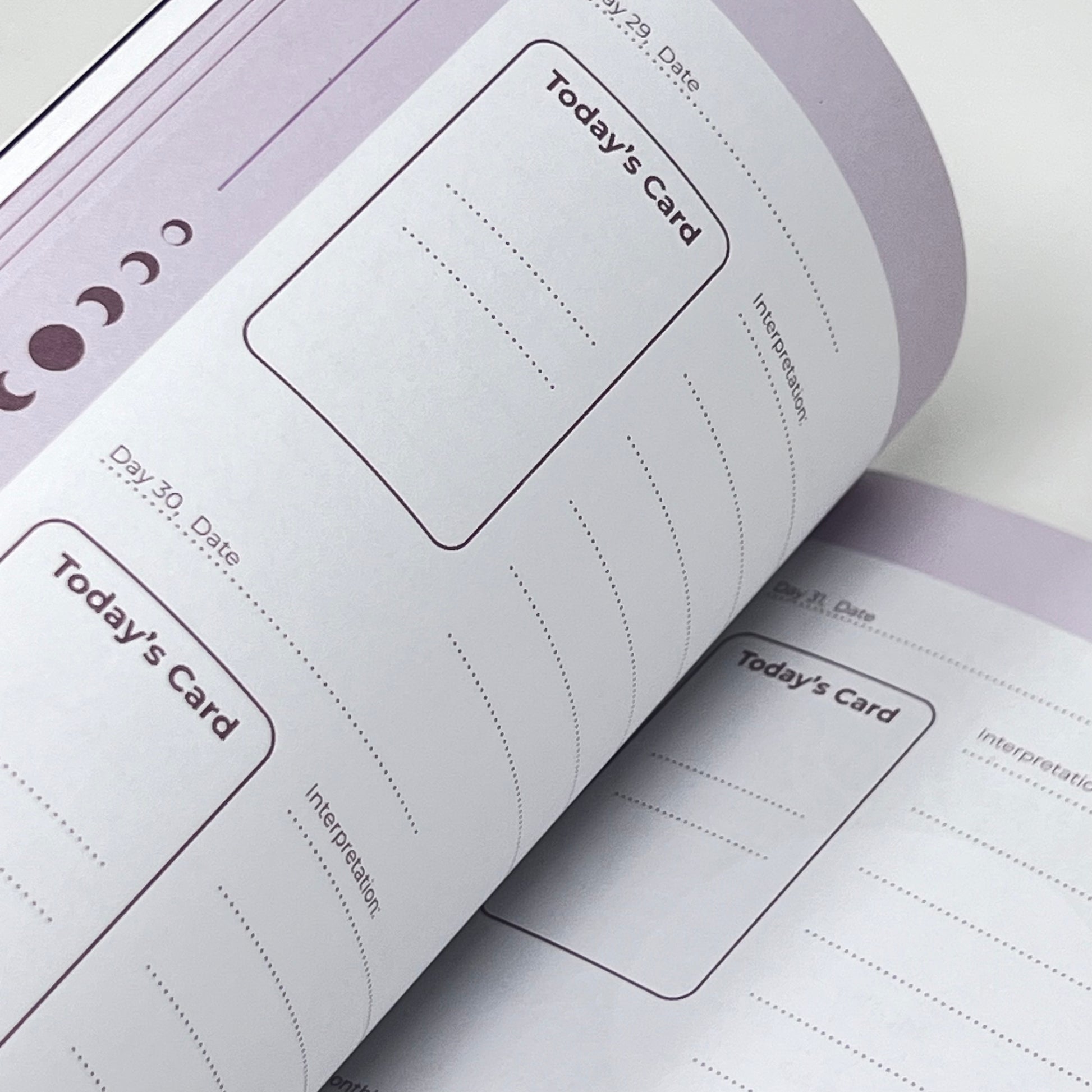 The Essential Tarot Journal