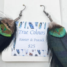 Load image into Gallery viewer, Feather Earrings by BlakByrd - True Colours (Rooster &amp; Peacock)
