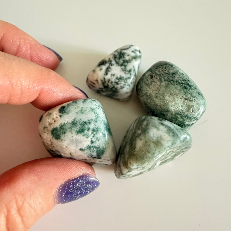 Tree Agate - Tumbled (Med/Large)