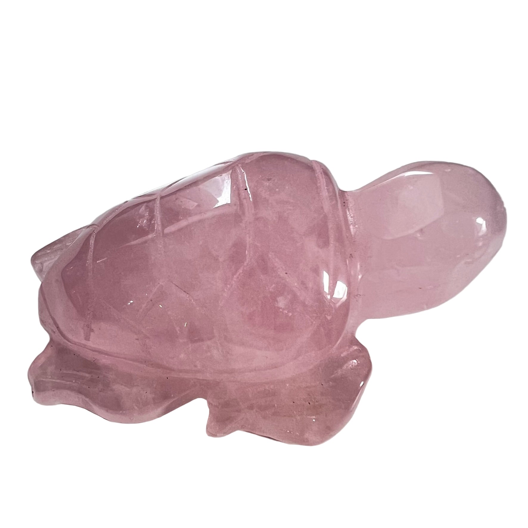 Rose Quartz Turtle (medium)