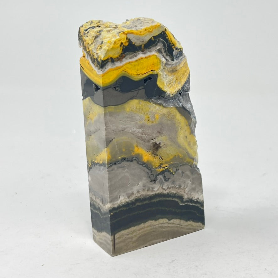 TLC Bumblebee Jasper Slice
