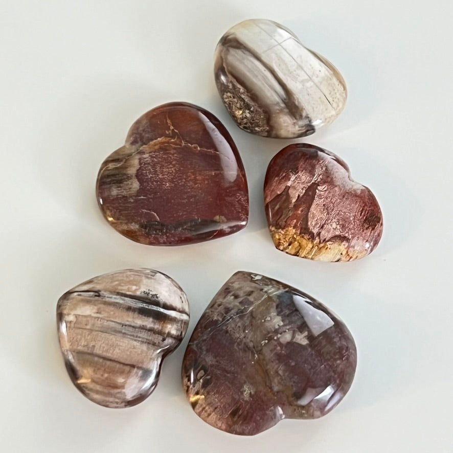 Petrified Wood - Heart