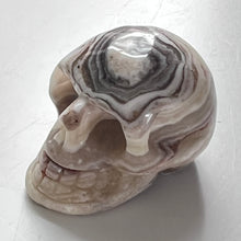 Load image into Gallery viewer, Skull - Banded Zebra Jasper
