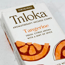 Load image into Gallery viewer, Triloka Incense Cones (5 options)
