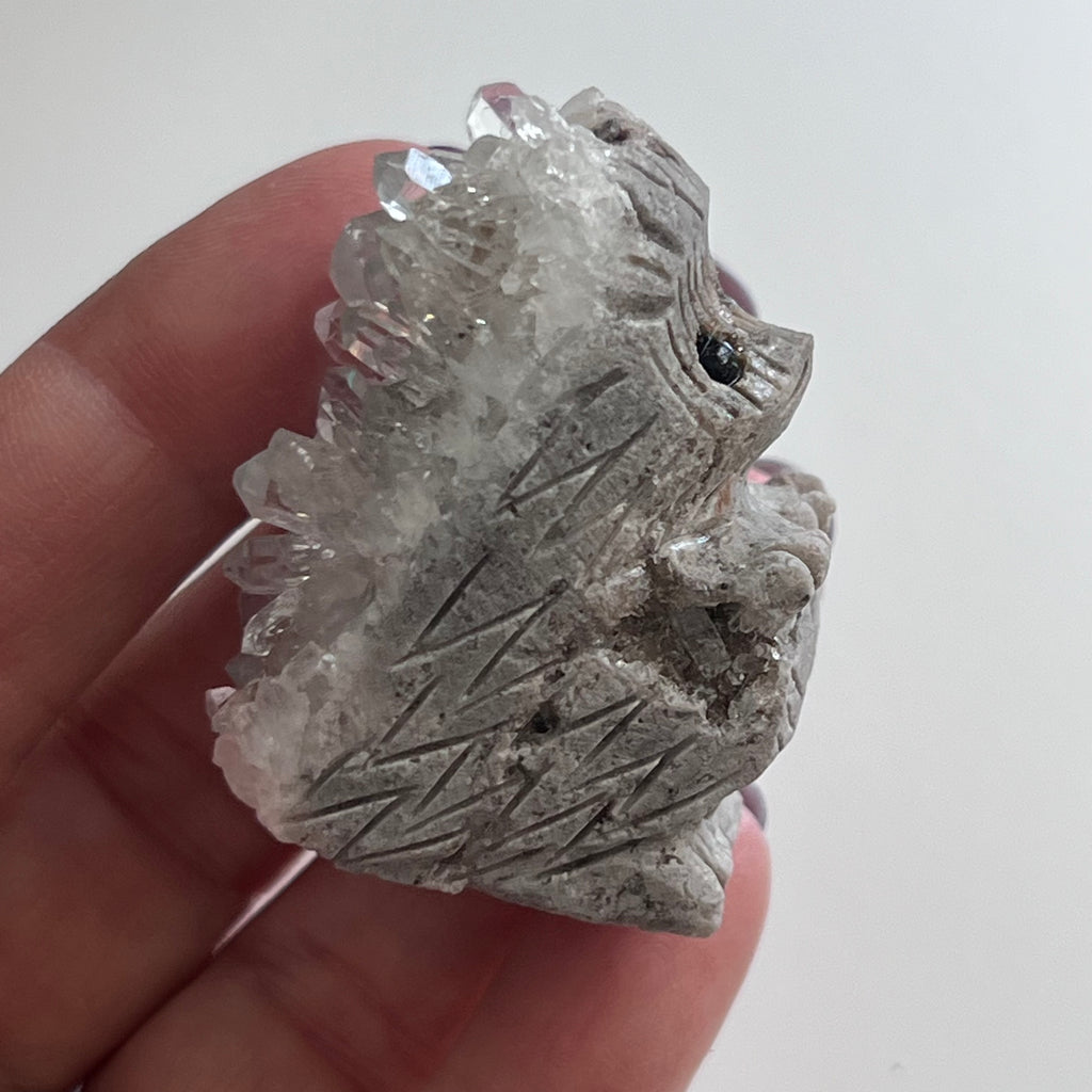 Quartz Hedgehog