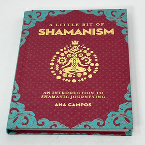 A Little Bit of Shamanism by Ana Campos (Hardcover)