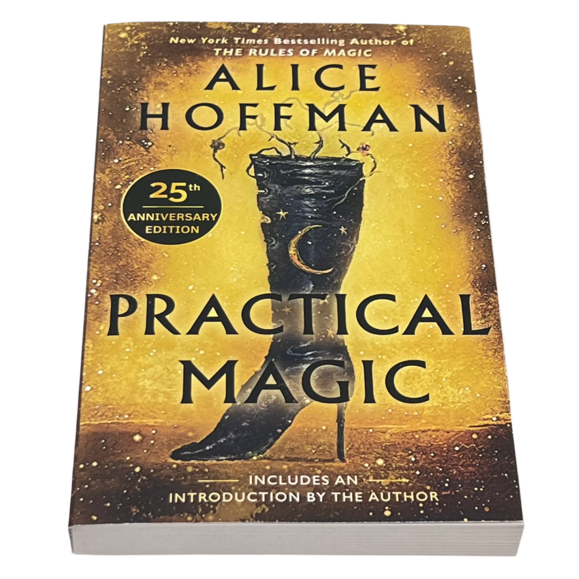 Practical Magic by Alice Hoffman