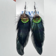 Load image into Gallery viewer, Feather Earrings by BlakByrd - True Colours (Rooster &amp; Peacock)
