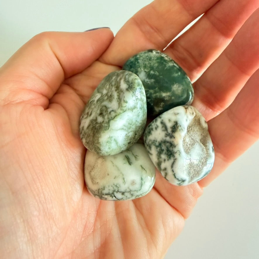Tree Agate - Tumbled (Med/Large)