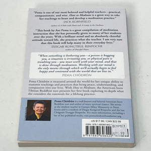 How to Meditate by Pema Chodron