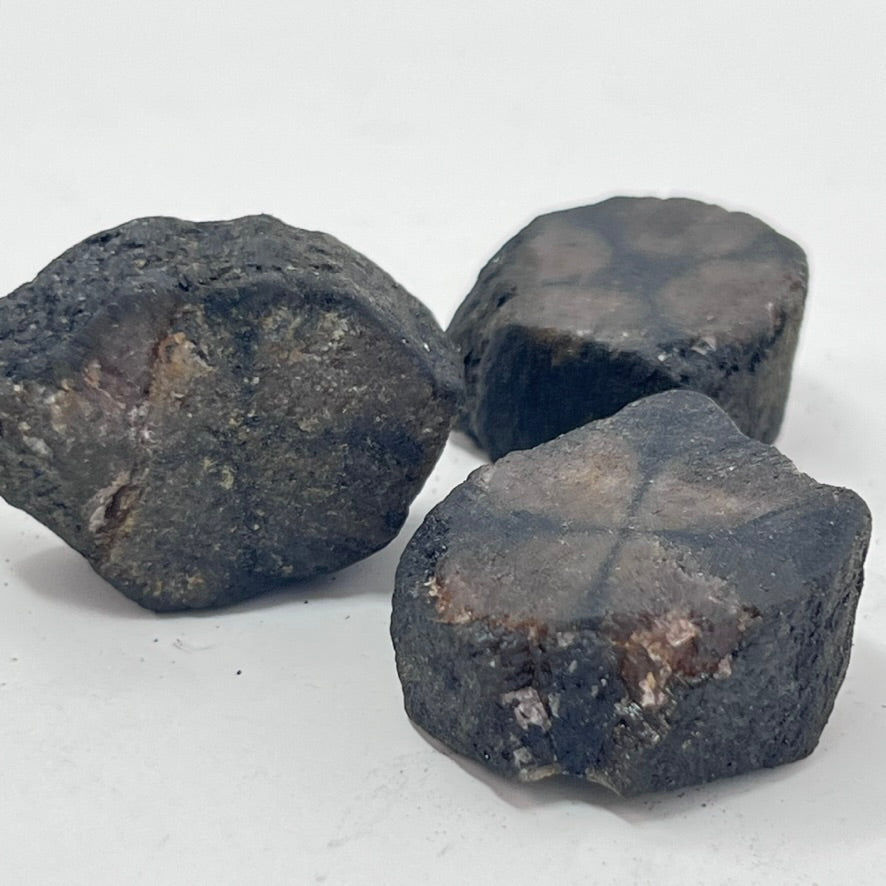 Chiastolite - Rough Slice