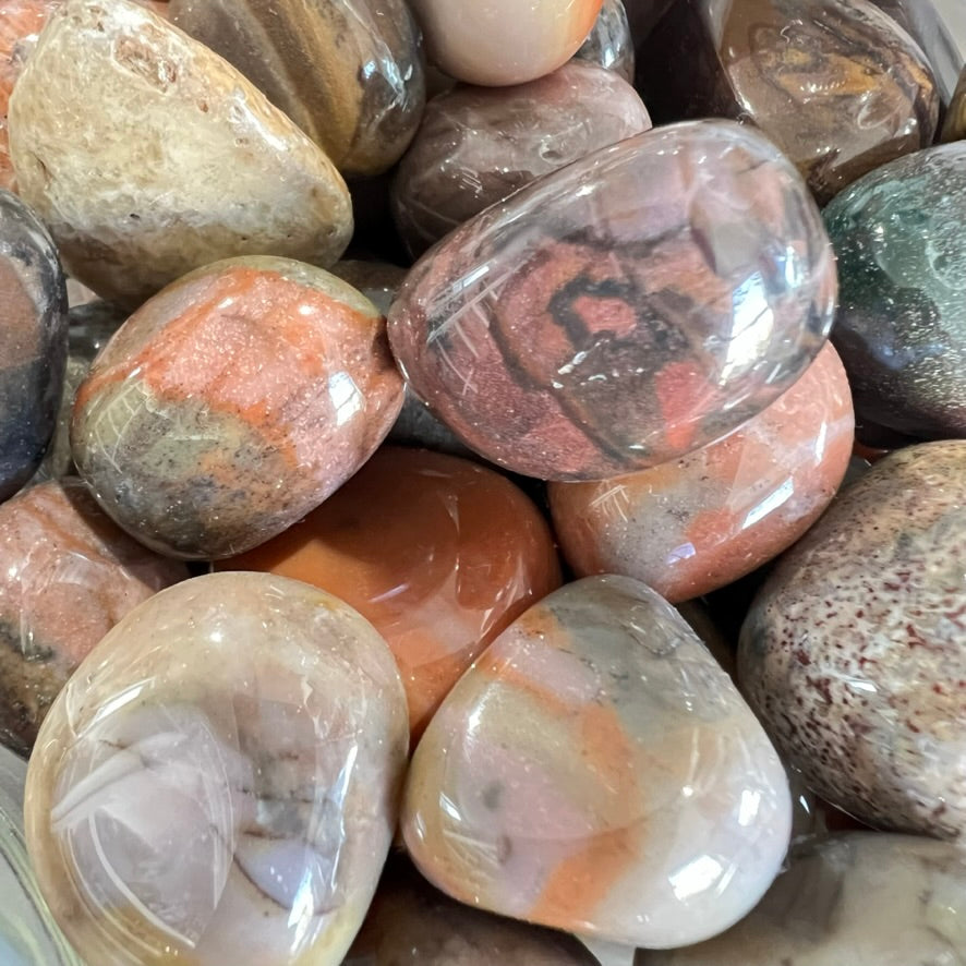 Bamboo Leaf Agate - Tumbled