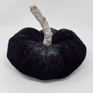 Black Velvet Pumpkin