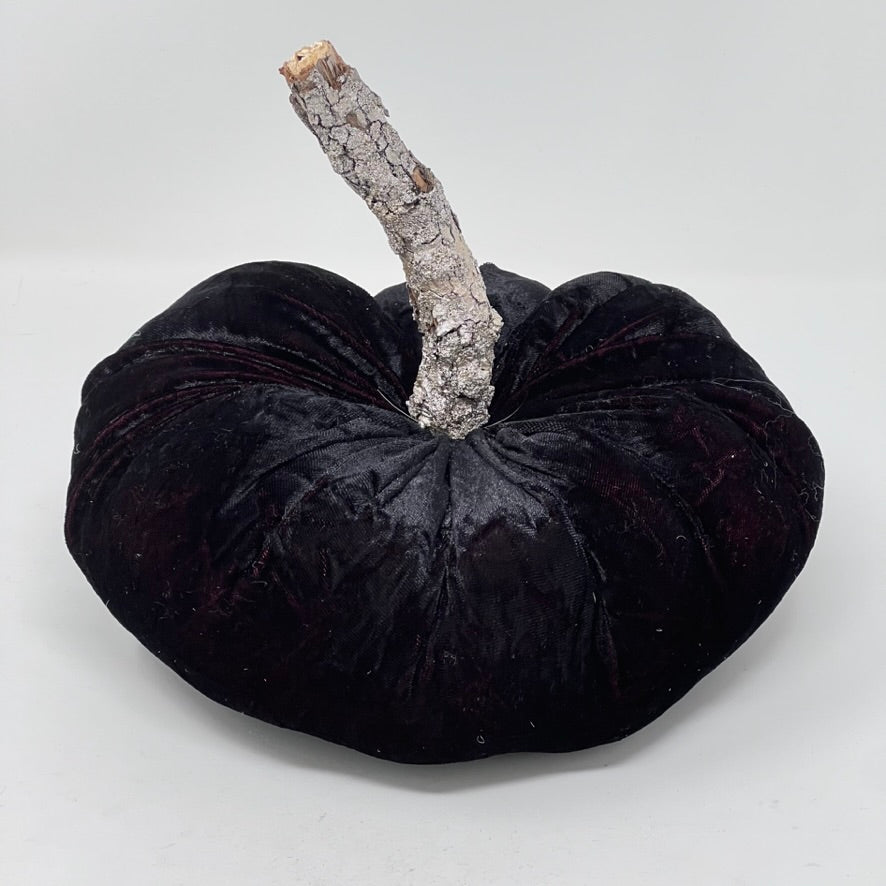 Black Velvet Pumpkin