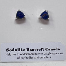 Load image into Gallery viewer, Earrings - Sodalite
