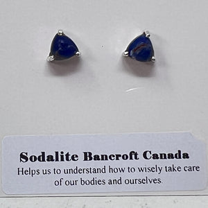 Earrings - Sodalite