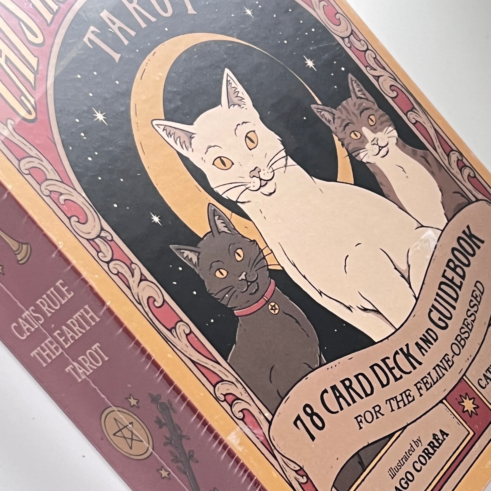 Cats Rule The Earth Tarot