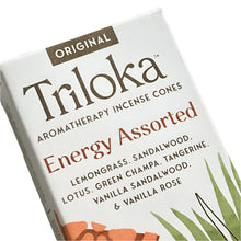 Load image into Gallery viewer, Triloka Incense Cones - Earthly Assorted (2 options)
