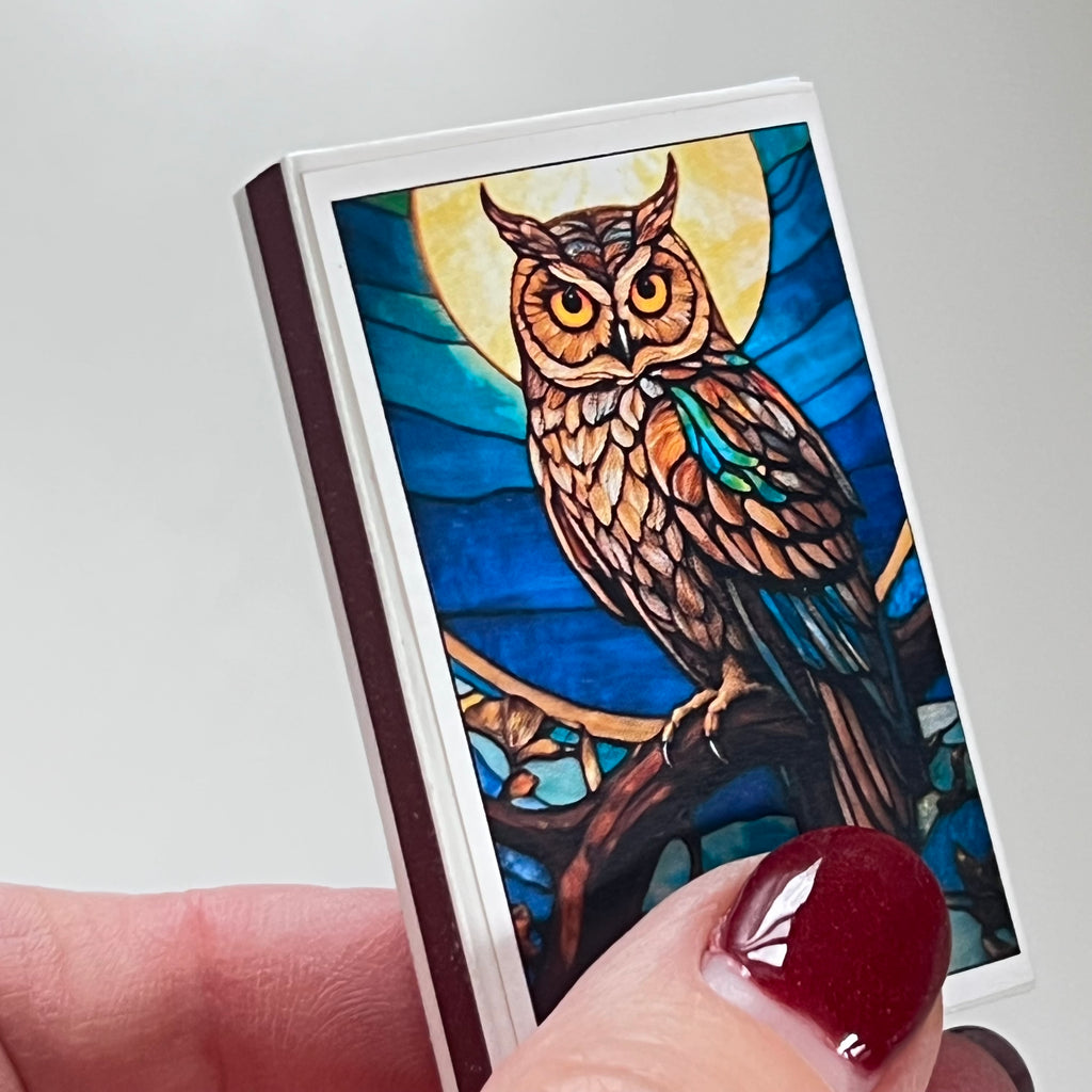 Owl Match Box
